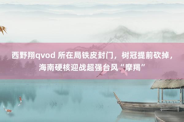 西野翔qvod 所在局铁皮封门，树冠提前砍掉，海南硬核迎战超强台风“摩羯”