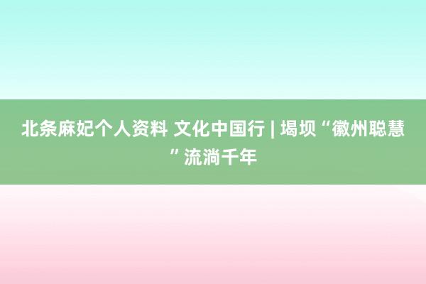 北条麻妃个人资料 文化中国行 | 堨坝“徽州聪慧”流淌千年