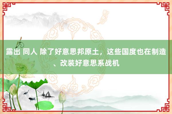 露出 同人 除了好意思邦原土，这些国度也在制造、改装好意思系战机