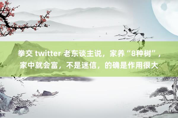 拳交 twitter 老东谈主说，家养“8种树”，家中就会富，不是迷信，的确是作用很大