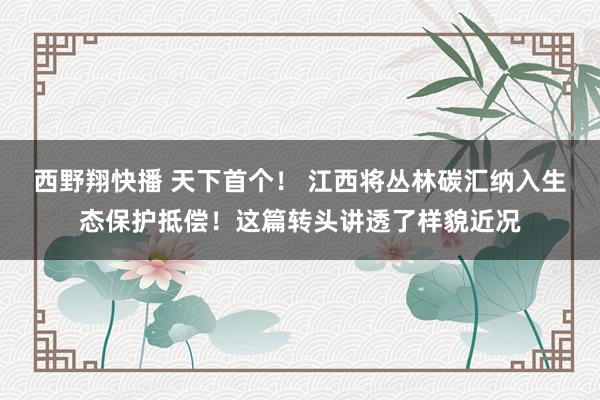 西野翔快播 天下首个！ 江西将丛林碳汇纳入生态保护抵偿！这篇转头讲透了样貌近况