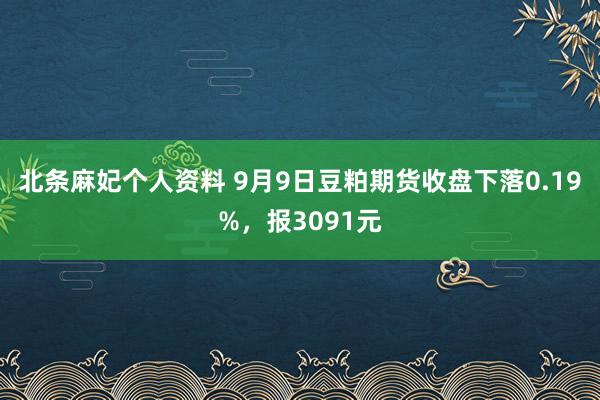 北条麻妃个人资料 9月9日豆粕期货收盘下落0.19%，报3091元