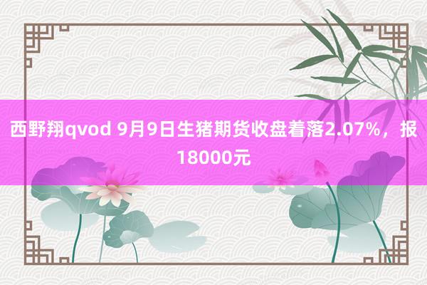 西野翔qvod 9月9日生猪期货收盘着落2.07%，报18000元