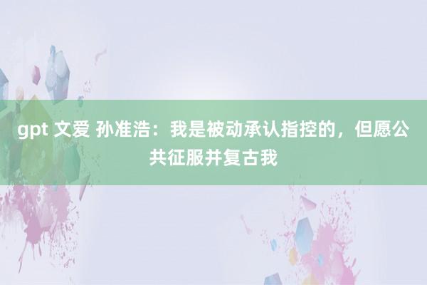 gpt 文爱 孙准浩：我是被动承认指控的，但愿公共征服并复古我