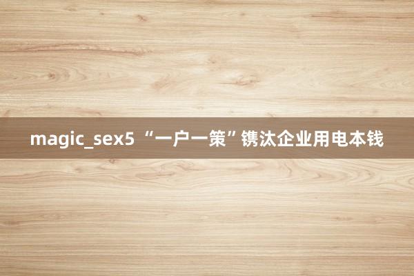 magic_sex5 “一户一策”镌汰企业用电本钱