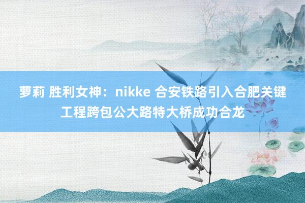 萝莉 胜利女神：nikke 合安铁路引入合肥关键工程跨包公大路特大桥成功合龙