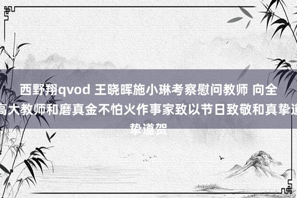 西野翔qvod 王晓晖施小琳考察慰问教师 向全省高大教师和磨真金不怕火作事家致以节日致敬和真挚道贺