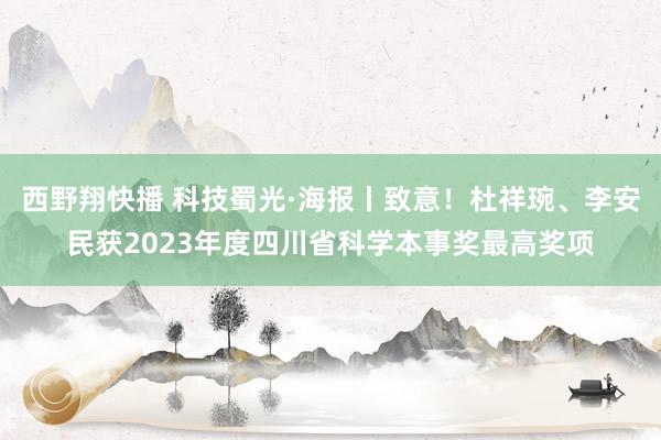 西野翔快播 科技蜀光·海报丨致意！杜祥琬、李安民获2023年度四川省科学本事奖最高奖项