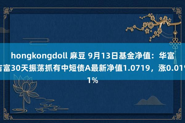 hongkongdoll 麻豆 9月13日基金净值：华富吉富30天振荡抓有中短债A最新净值1.0719，涨0.01%