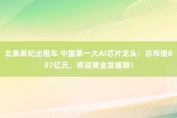 北条麻妃出租车 中国第一大AI芯片龙头：总市值897亿元，将迎黄金发缓期！