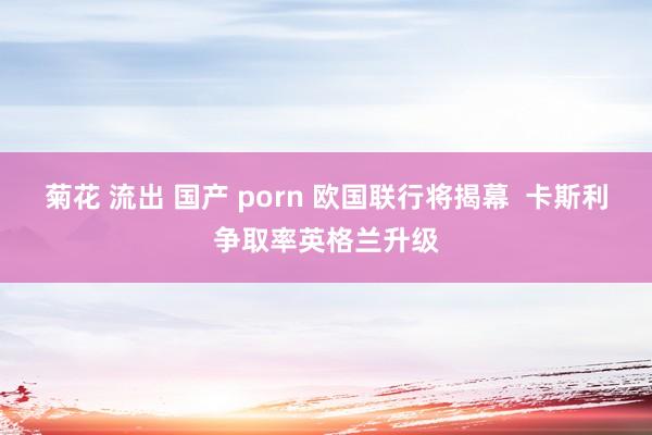 菊花 流出 国产 porn 欧国联行将揭幕  卡斯利争取率英格兰升级