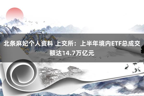 北条麻妃个人资料 上交所：上半年境内ETF总成交额达14.7万亿元