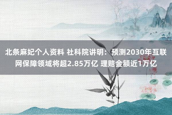 北条麻妃个人资料 社科院讲明：预测2030年互联网保障领域将超2.85万亿 理赔金额近1万亿