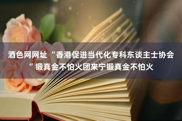 酒色网网址 “香港促进当代化专科东谈主士协会”锻真金不怕火团来宁锻真金不怕火