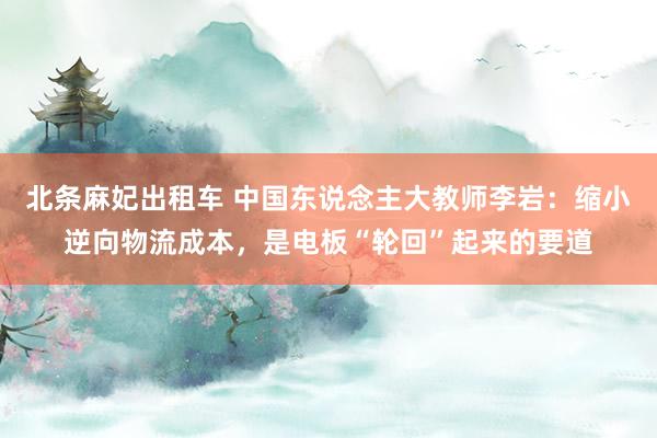 北条麻妃出租车 中国东说念主大教师李岩：缩小逆向物流成本，是电板“轮回”起来的要道