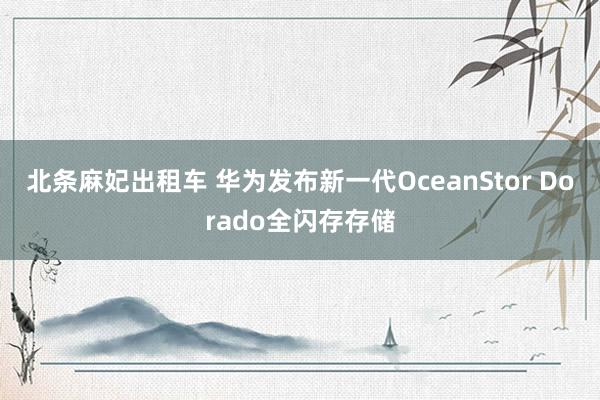 北条麻妃出租车 华为发布新一代OceanStor Dorado全闪存存储