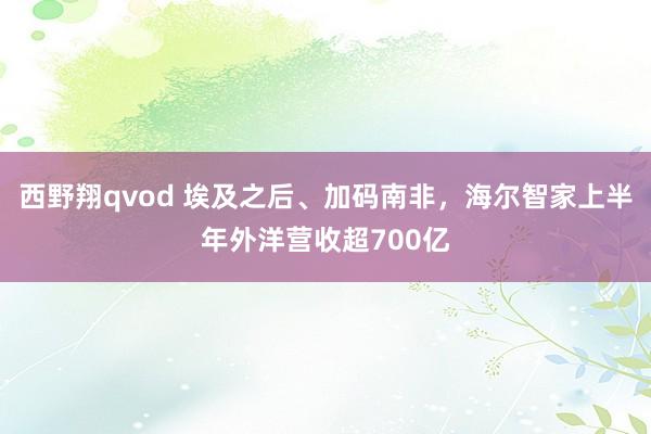 西野翔qvod 埃及之后、加码南非，海尔智家上半年外洋营收超700亿