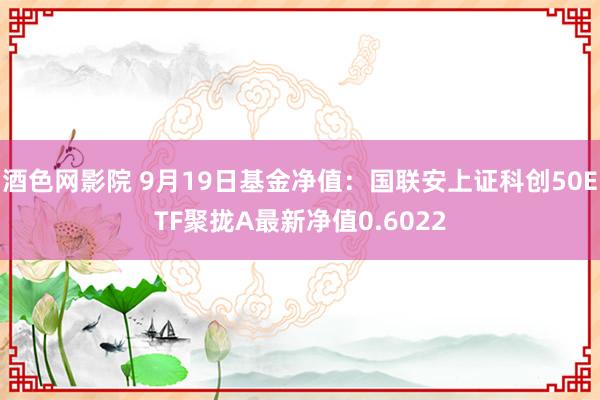 酒色网影院 9月19日基金净值：国联安上证科创50ETF聚拢A最新净值0.6022