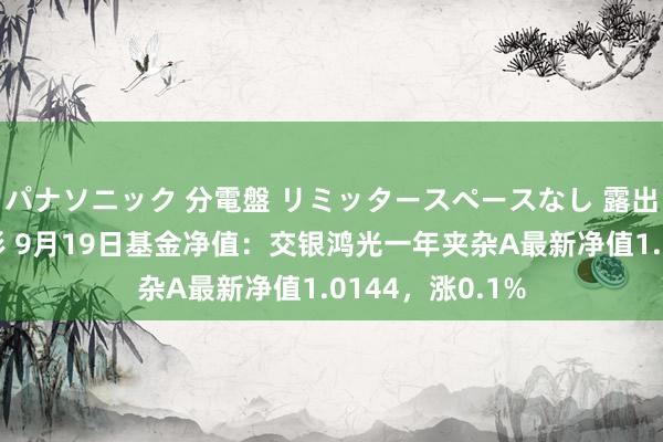 パナソニック 分電盤 リミッタースペースなし 露出・半埋込両用形 9月19日基金净值：交银鸿光一年夹杂A最新净值1.0144，涨0.1%