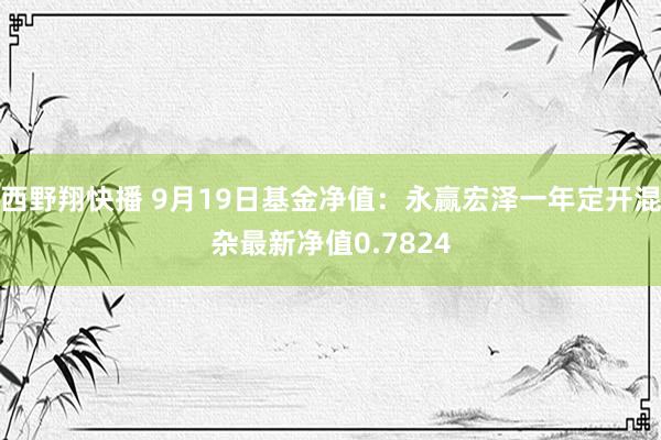 西野翔快播 9月19日基金净值：永赢宏泽一年定开混杂最新净值0.7824