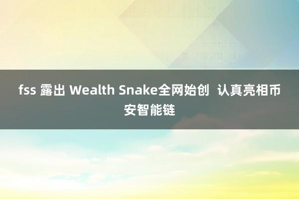 fss 露出 Wealth Snake全网始创  认真亮相币安智能链