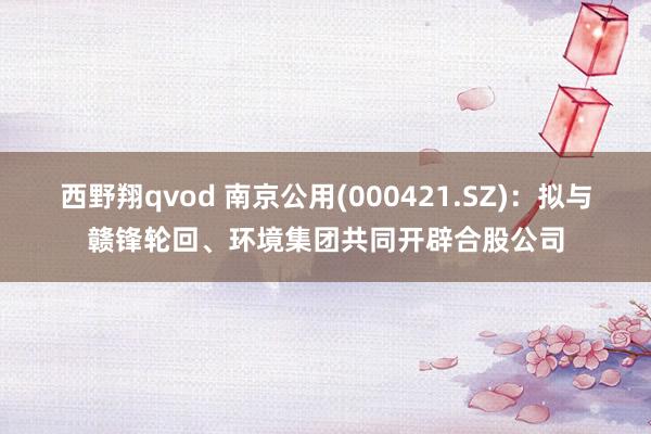 西野翔qvod 南京公用(000421.SZ)：拟与赣锋轮回、环境集团共同开辟合股公司