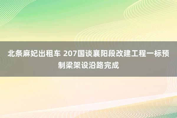 北条麻妃出租车 207国谈襄阳段改建工程一标预制梁架设沿路完成