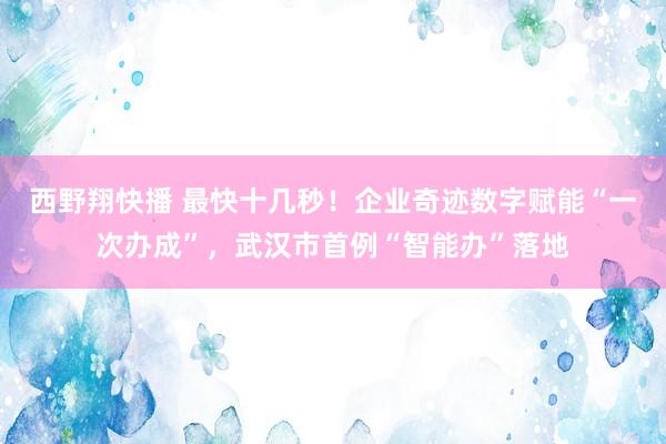 西野翔快播 最快十几秒！企业奇迹数字赋能“一次办成”，武汉市首例“智能办”落地