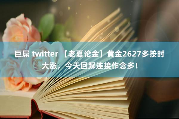 巨屌 twitter 【老夏论金】黄金2627多按时大涨，今天回踩连接作念多！