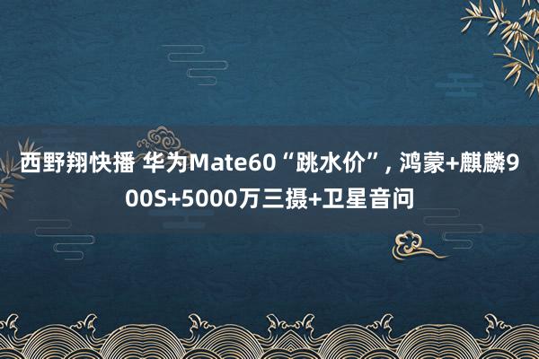 西野翔快播 华为Mate60“跳水价”, 鸿蒙+麒麟900S+5000万三摄+卫星音问