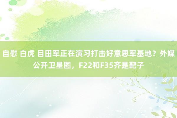 自慰 白虎 目田军正在演习打击好意思军基地？外媒公开卫星图，F22和F35齐是靶子