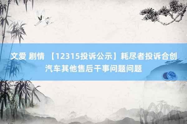 文爱 剧情 【12315投诉公示】耗尽者投诉合创汽车其他售后干事问题问题