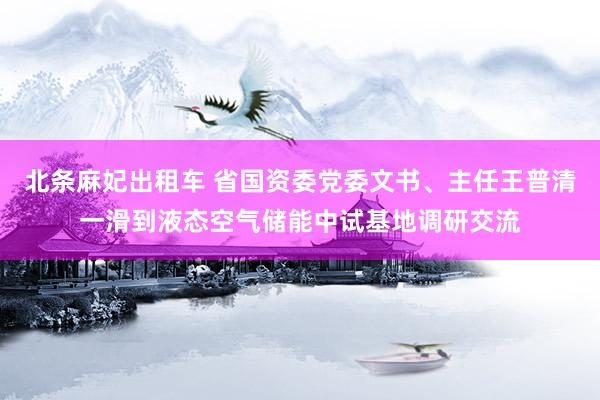 北条麻妃出租车 省国资委党委文书、主任王普清一滑到液态空气储能中试基地调研交流