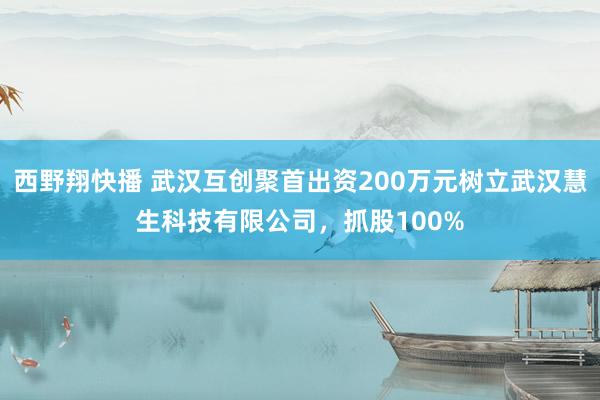 西野翔快播 武汉互创聚首出资200万元树立武汉慧生科技有限公司，抓股100%