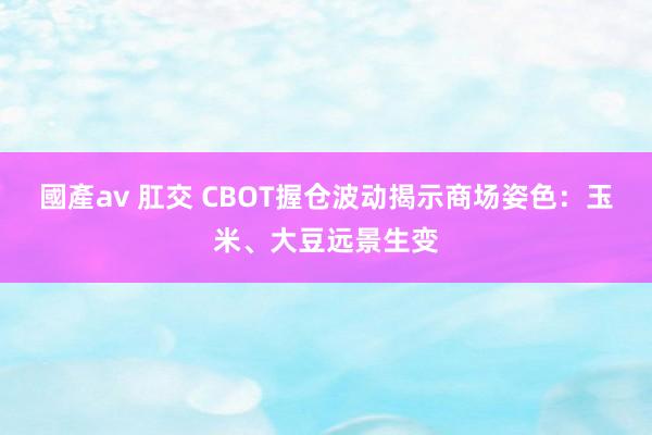 國產av 肛交 CBOT握仓波动揭示商场姿色：玉米、大豆远景生变