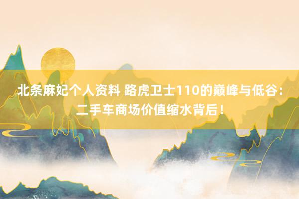 北条麻妃个人资料 路虎卫士110的巅峰与低谷：二手车商场价值缩水背后！