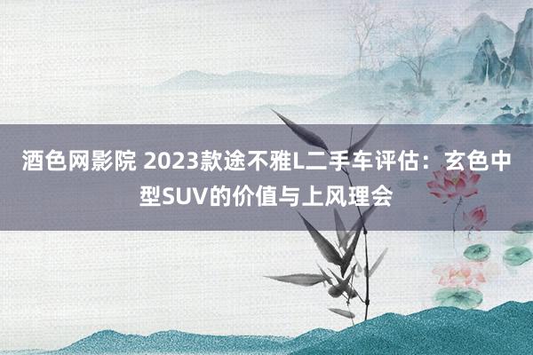 酒色网影院 2023款途不雅L二手车评估：玄色中型SUV的价值与上风理会