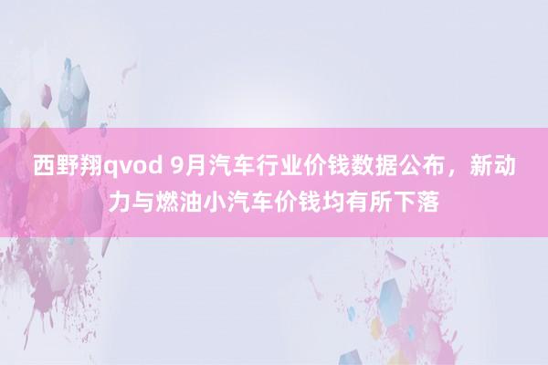 西野翔qvod 9月汽车行业价钱数据公布，新动力与燃油小汽车价钱均有所下落