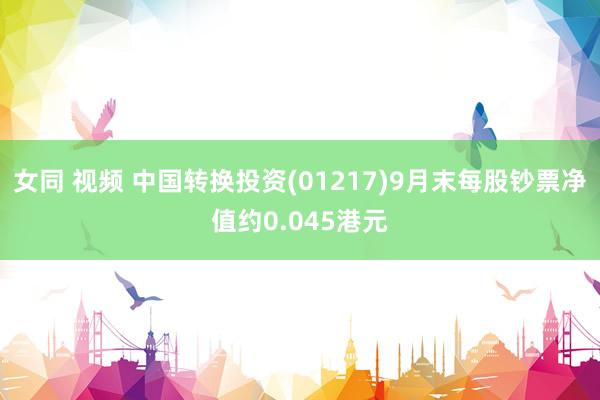 女同 视频 中国转换投资(01217)9月末每股钞票净值约0.045港元