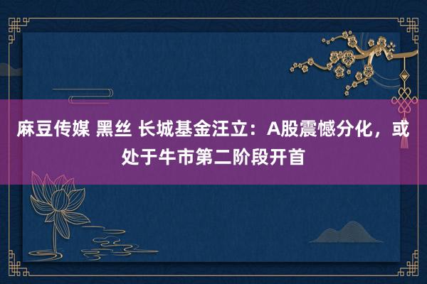 麻豆传媒 黑丝 长城基金汪立：A股震憾分化，或处于牛市第二阶段开首