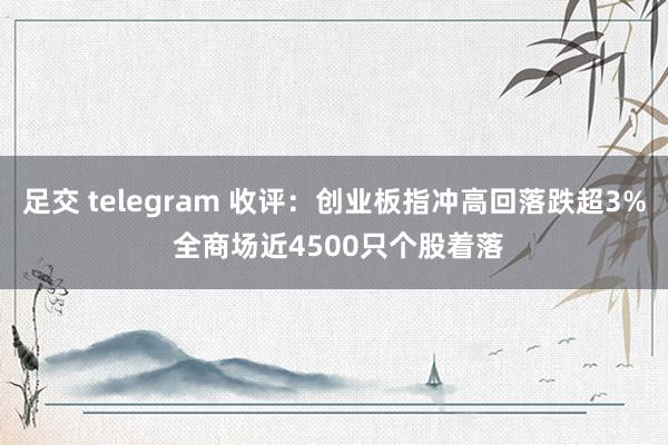 足交 telegram 收评：创业板指冲高回落跌超3% 全商场近4500只个股着落