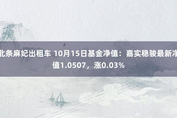 北条麻妃出租车 10月15日基金净值：嘉实稳骏最新净值1.0507，涨0.03%