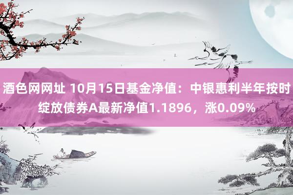 酒色网网址 10月15日基金净值：中银惠利半年按时绽放债券A最新净值1.1896，涨0.09%