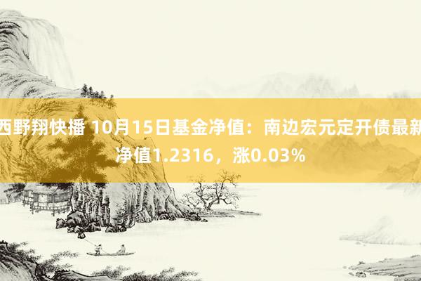 西野翔快播 10月15日基金净值：南边宏元定开债最新净值1.2316，涨0.03%