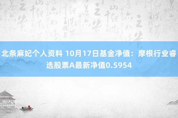 北条麻妃个人资料 10月17日基金净值：摩根行业睿选股票A最新净值0.5954