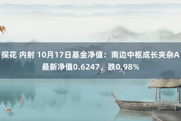 探花 内射 10月17日基金净值：南边中枢成长夹杂A最新净值0.6247，跌0.98%