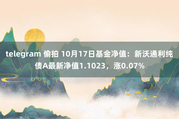 telegram 偷拍 10月17日基金净值：新沃通利纯债A最新净值1.1023，涨0.07%