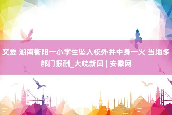 文爱 湖南衡阳一小学生坠入校外井中身一火 当地多部门报酬_大皖新闻 | 安徽网