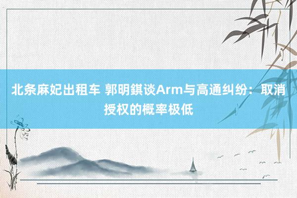 北条麻妃出租车 郭明錤谈Arm与高通纠纷：取消授权的概率极低