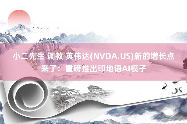 小二先生 调教 英伟达(NVDA.US)新的增长点来了：重磅推出印地语AI模子